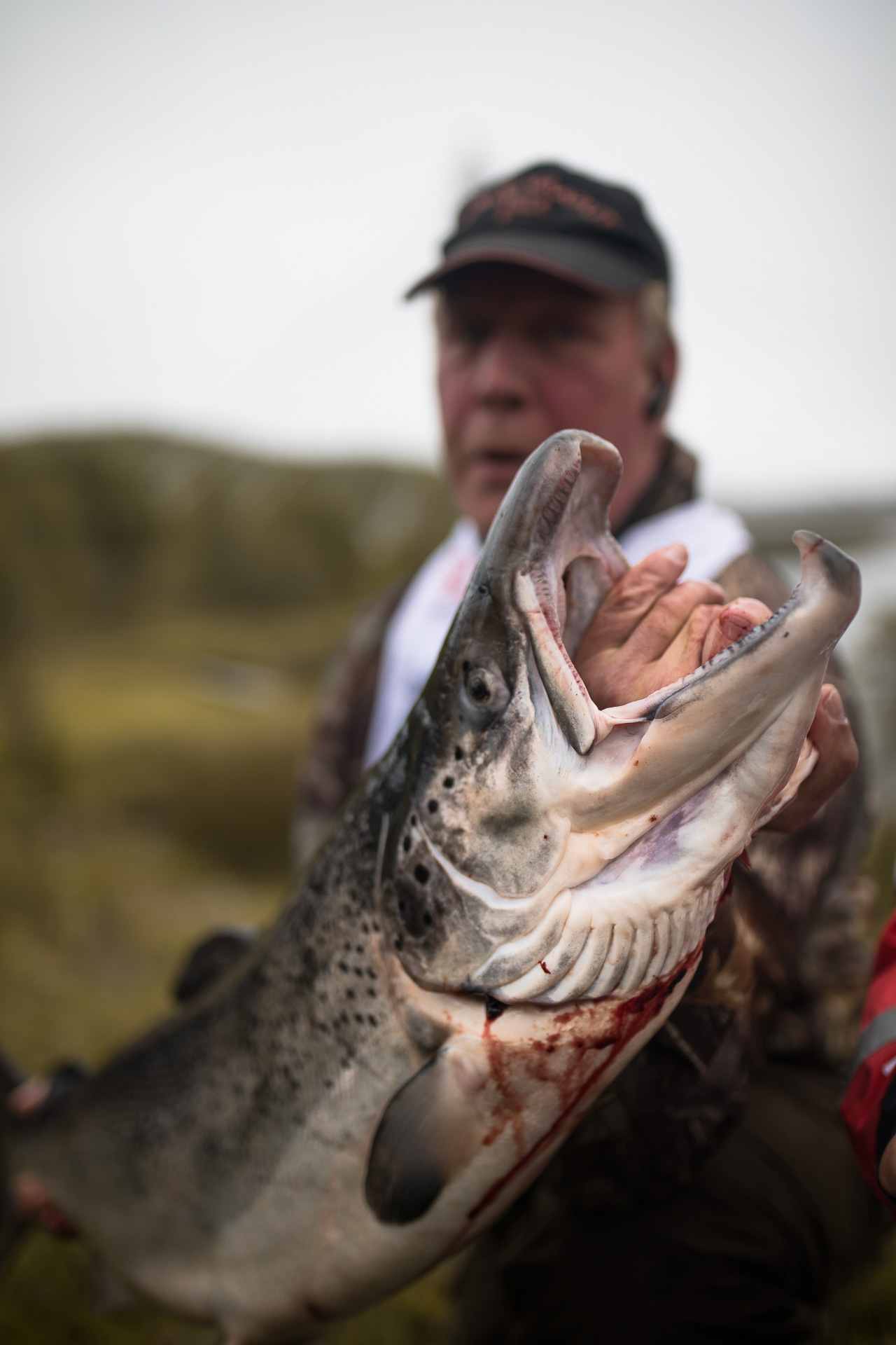 Swedish fishing pike lures, which are worth taking in your fishing kit.