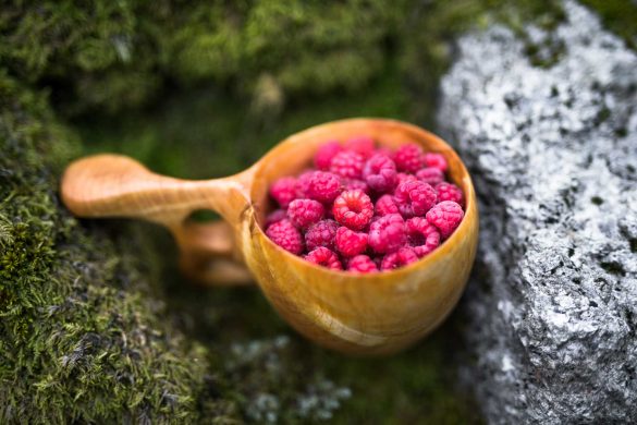 Raspberry | Rubus idaeus