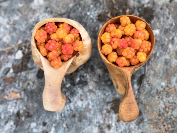 Cloudberry | Rubus chamaemorus
