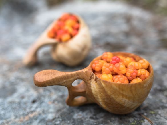 Cloudberry | Rubus chamaemorus