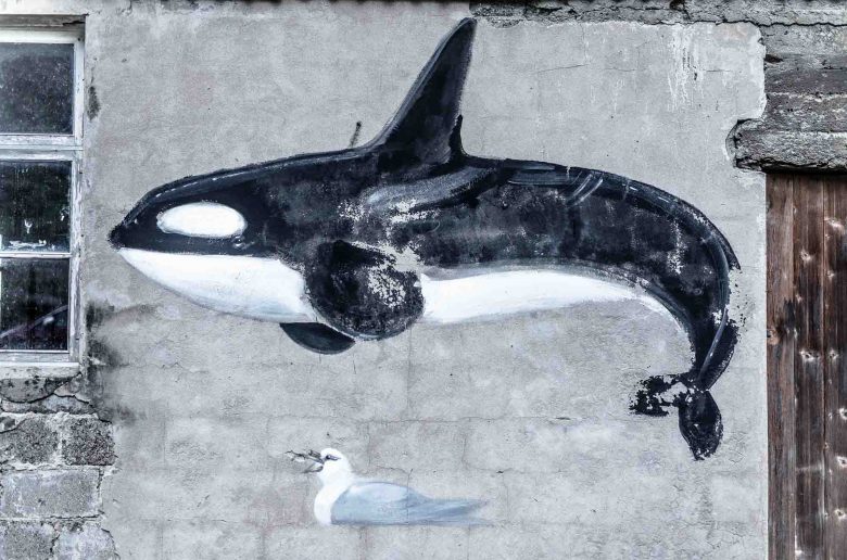 Orca mural