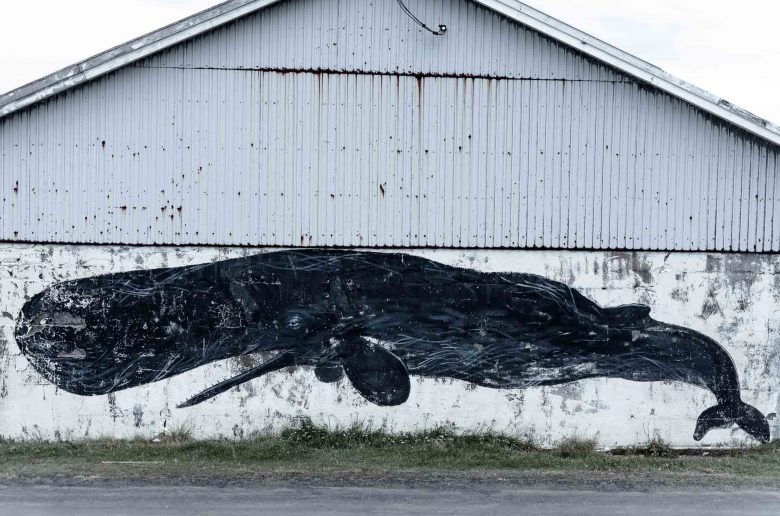 Sperm whale mural