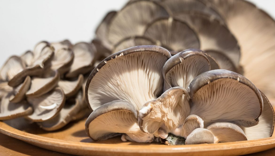 Poisonous mushrooms and mushroom poisoning Foraging with care Gone71° N