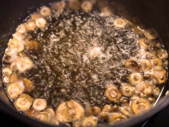 A, mellea – honey fungus cooking