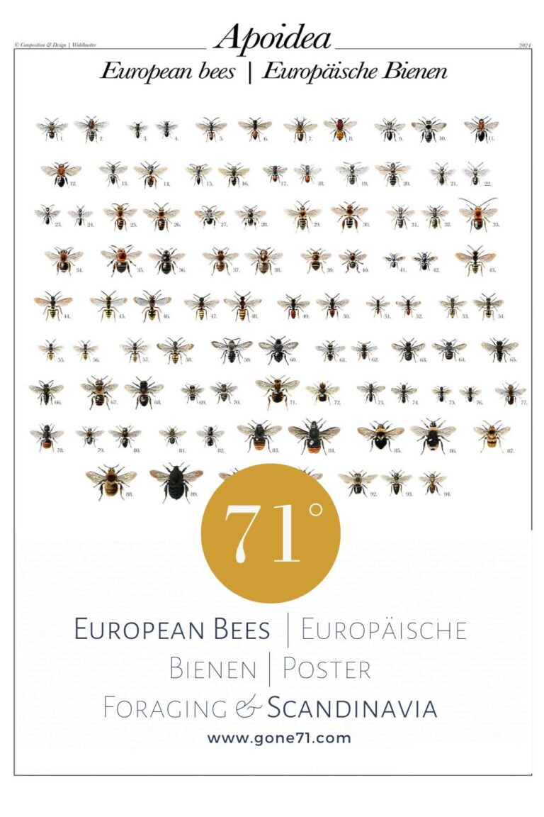 Bees poster Pin