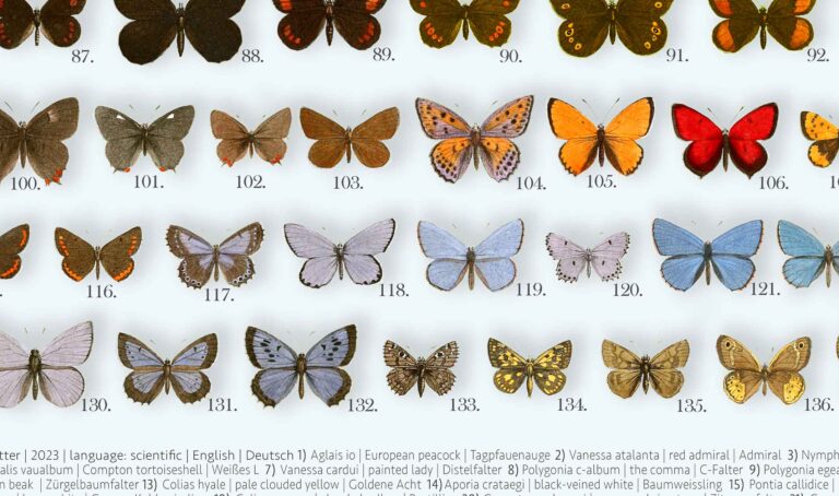 European butterflies | Lepidoptera | Europäische Schmwetterlinge – Poster